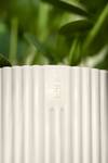 vibes fold round 14cm silky white